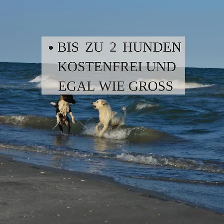 Haus Krabbe 8 An Der Nordsee, Fuer 1-2 Personen, Doppelbett,, 2 Hunde Willkommen, Kostenfreier Parkplatz, Geschaefte Und Restaurants In 2 Gehminuten Erreichbar, Naehe Bremerhaven