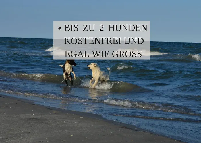Haus Krabbe 8 An Der Nordsee, Fuer 1-2 Personen, Doppelbett,, 2 Hunde Willkommen, Kostenfreier Parkplatz, Geschaefte Und Restaurants In 2 Gehminuten Erreichbar, Naehe Bremerhaven